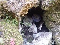 zloty lisc 2016 (27)